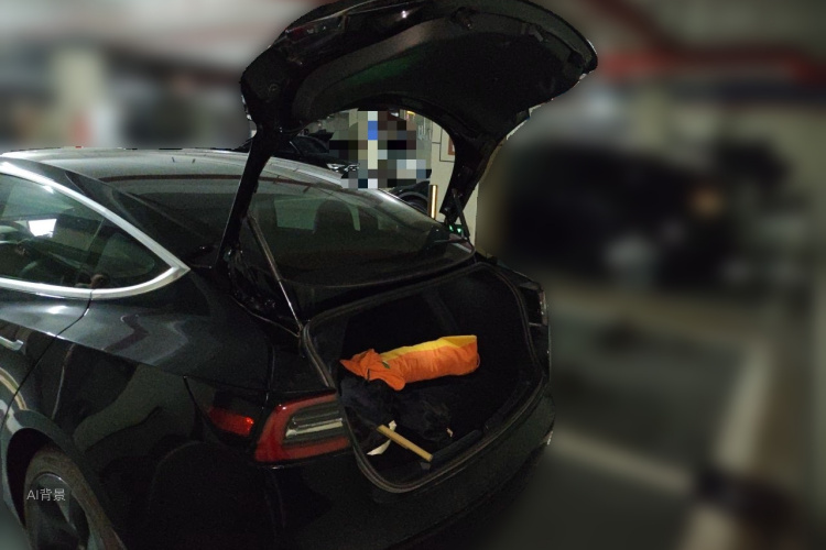 Tesla Model 3 2020 #21 Tesla Model 3 2020 car image #21