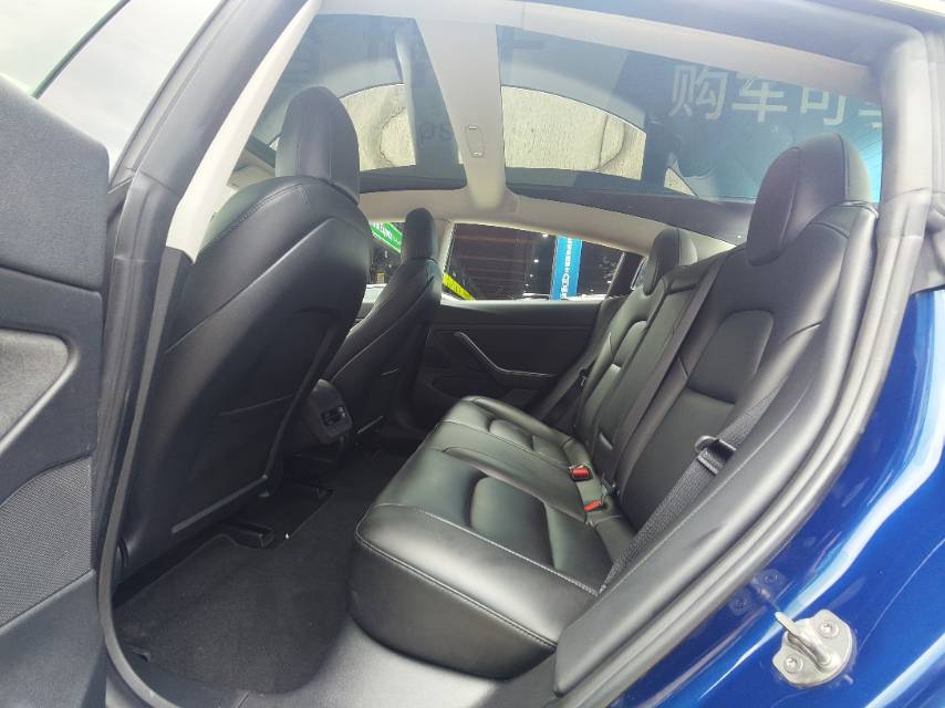 Tesla Model 3 2021 car image #10