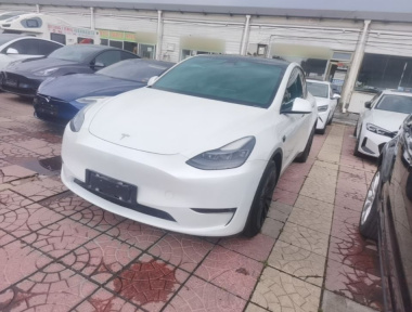 Tesla Model Y 2021 car image 