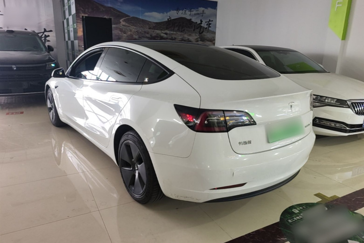 Tesla Model 3 2021 #5 Tesla Model 3 2021 car image #5