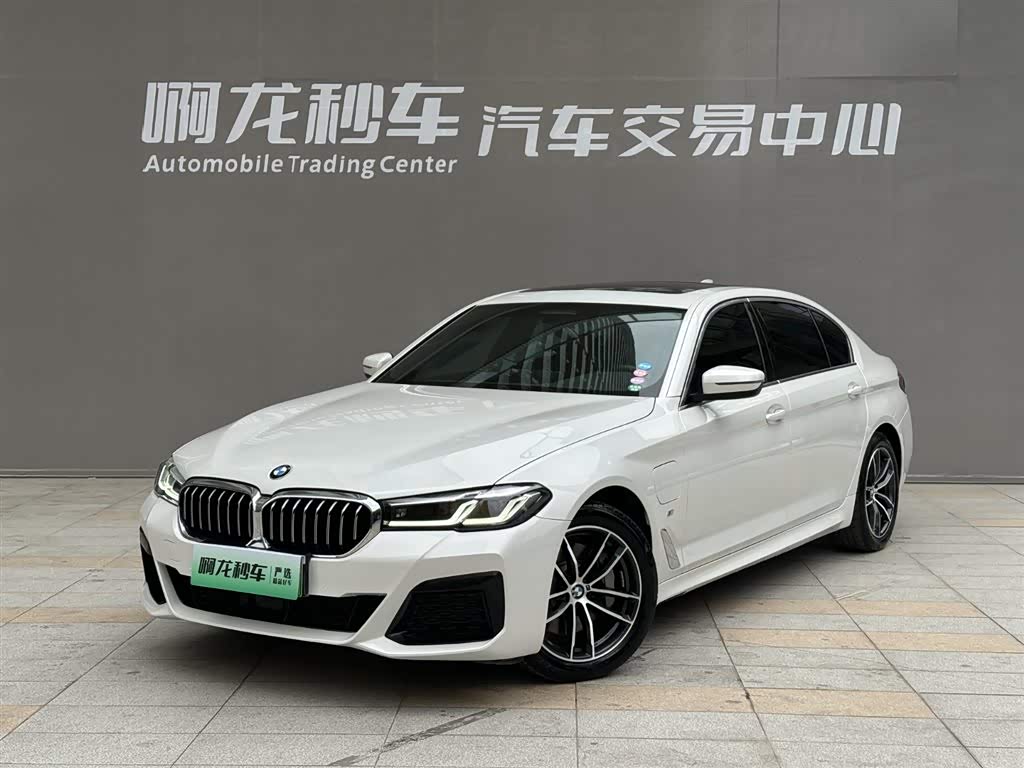 BMW 5 Series New Energy 2021 car image 