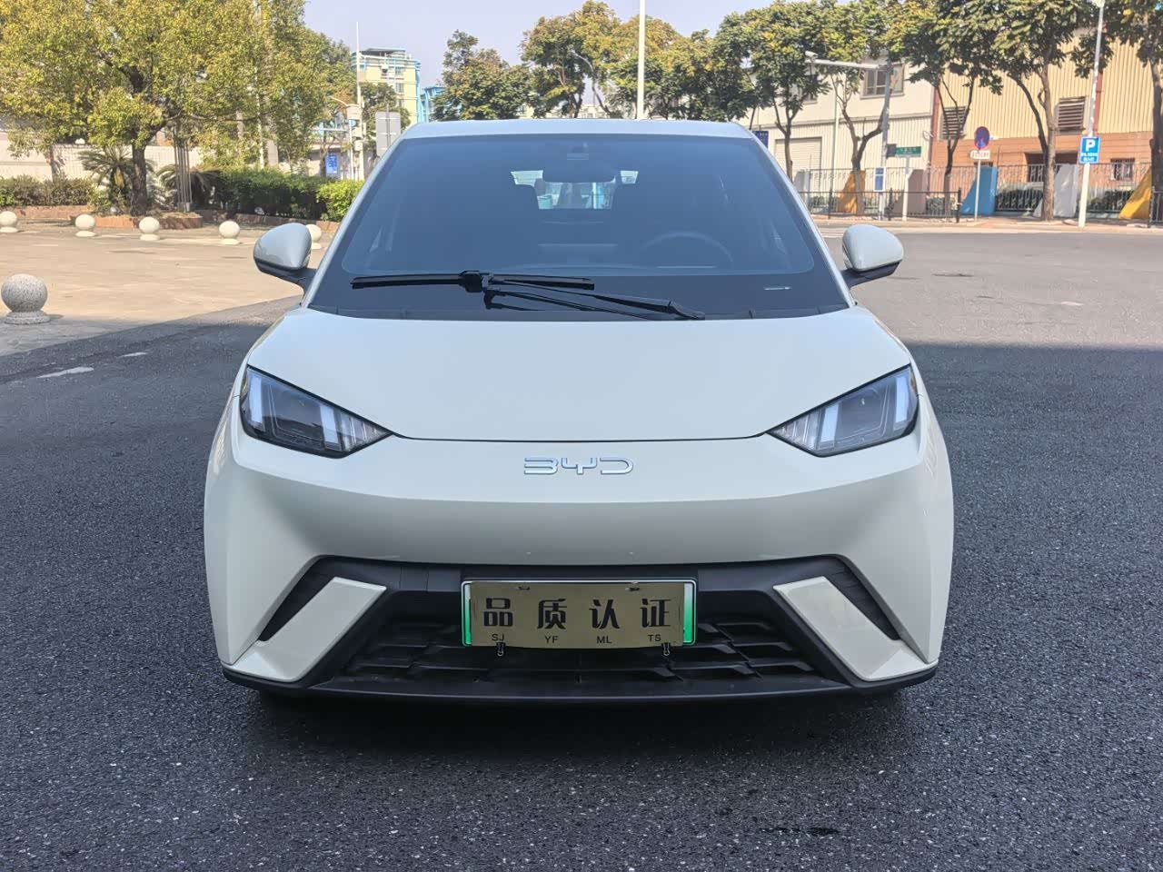 BYD Seagull 2024 car image 