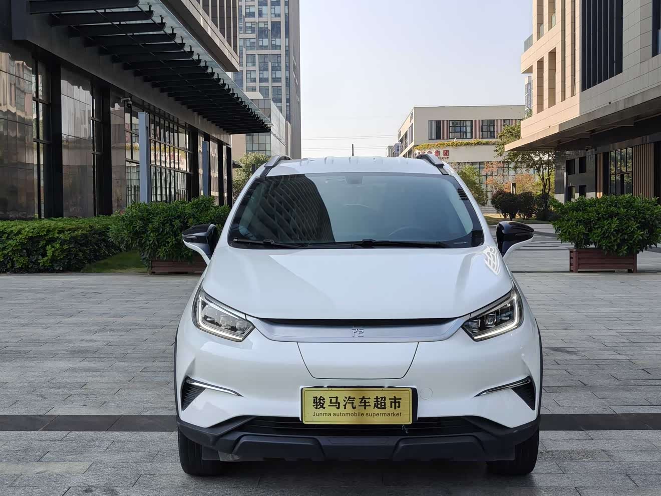 BYD Yuan Pro 2022 car image 