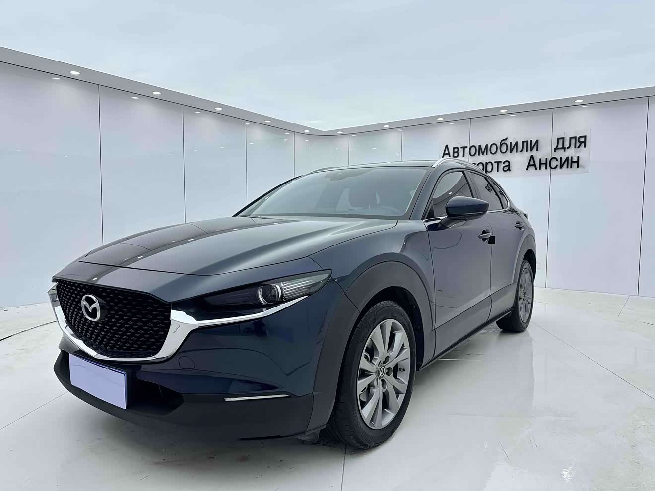 Mazda CX-30 2021 car image 