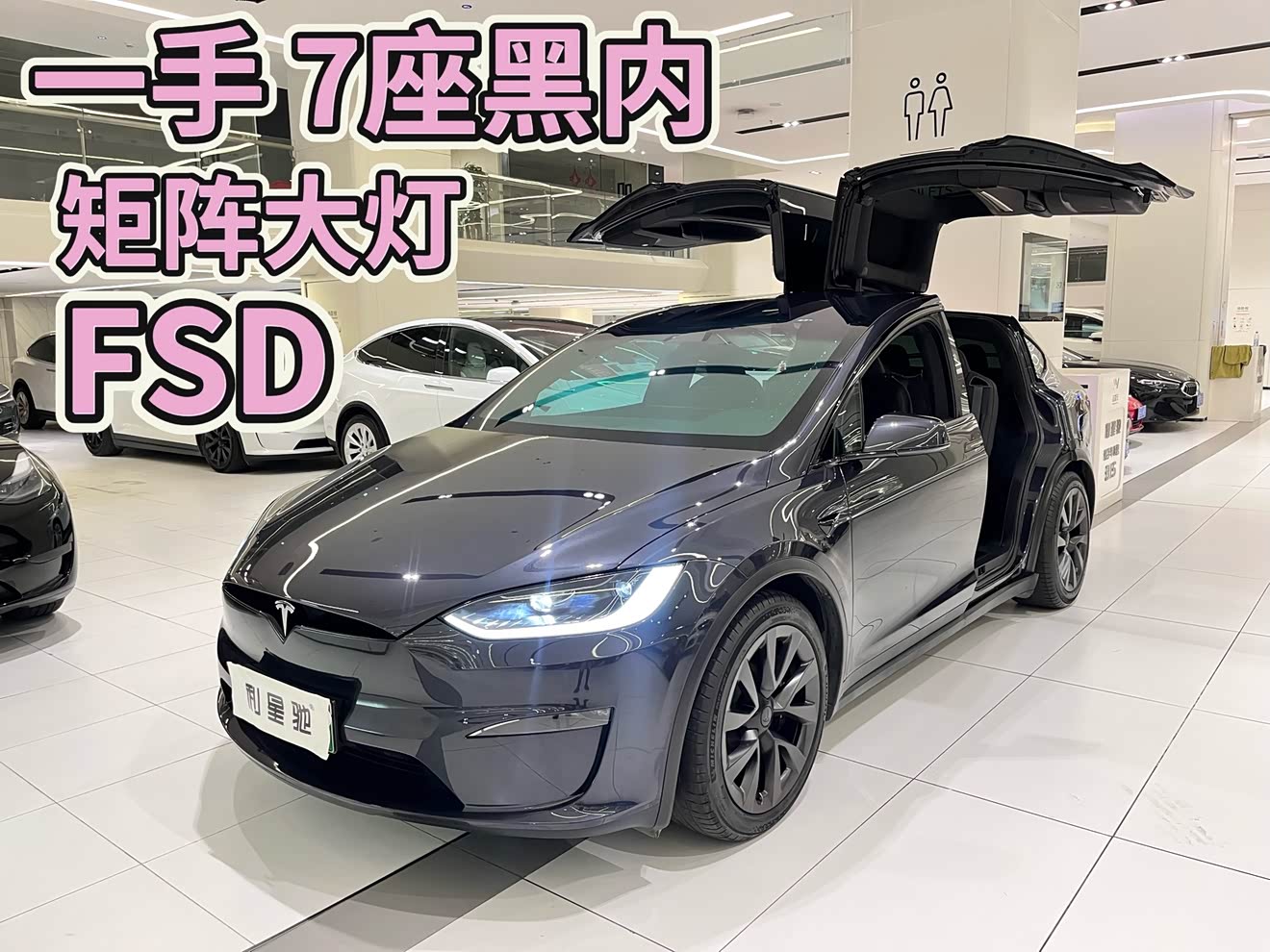 Tesla Model X 2023 immagine di auto 