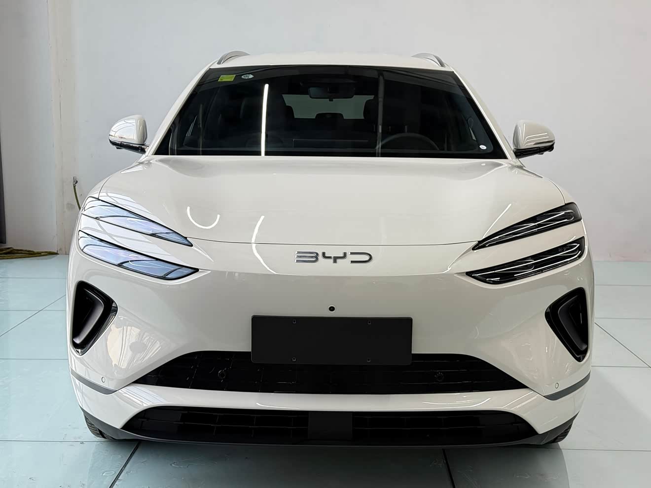 BYD Sea Lion 06 New Energy 2025 car image 