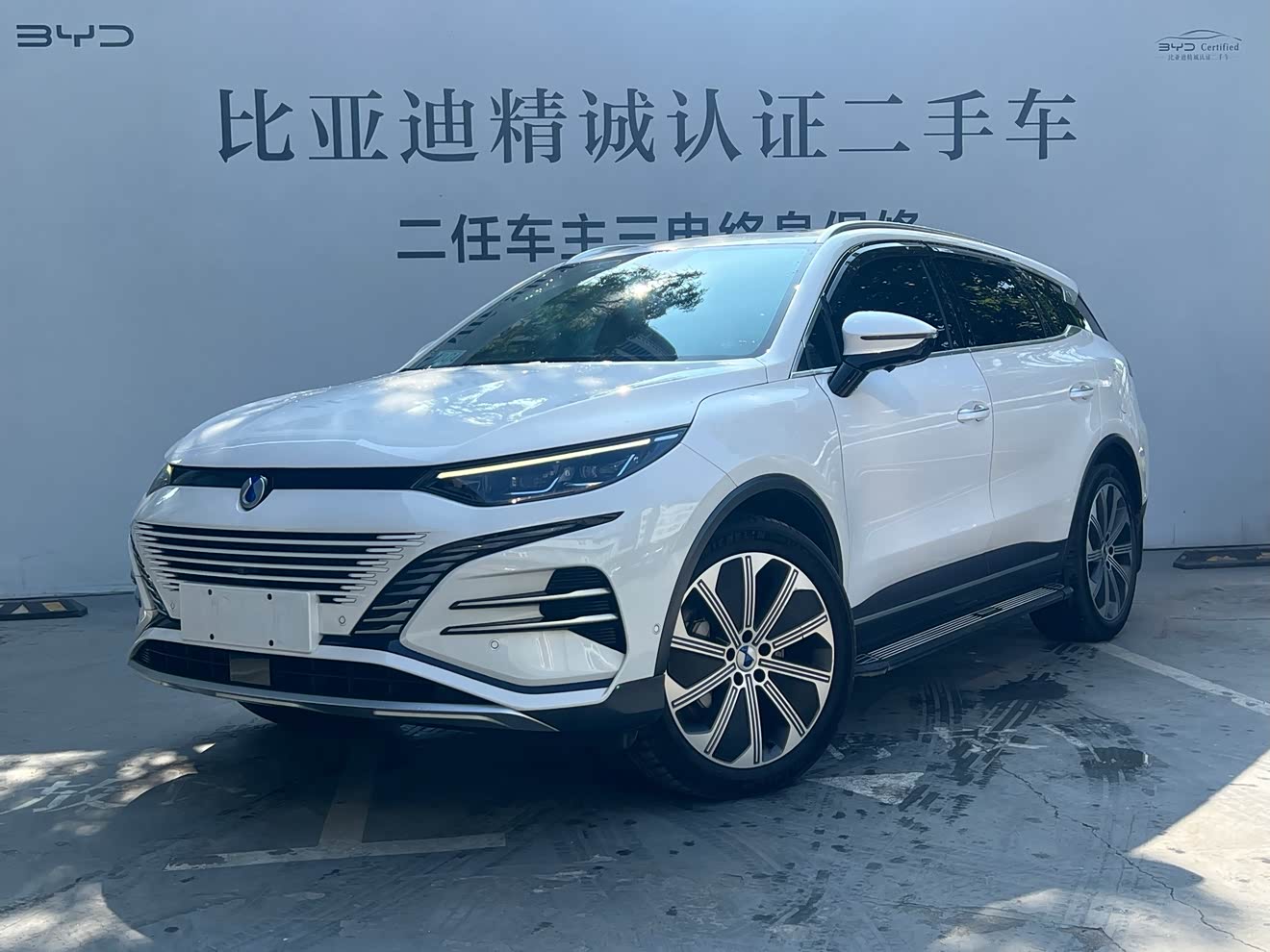 Denza N8 2023 car image 