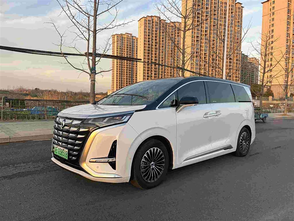 Denza D9 2023 car image 