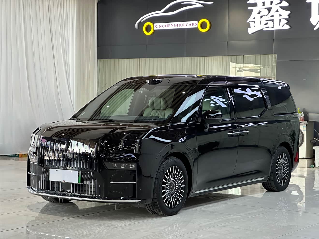 Zeekr 009 2025 汽车图片 