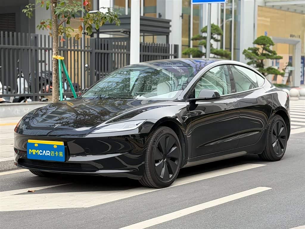 Tesla Model 3 2024 car image 
