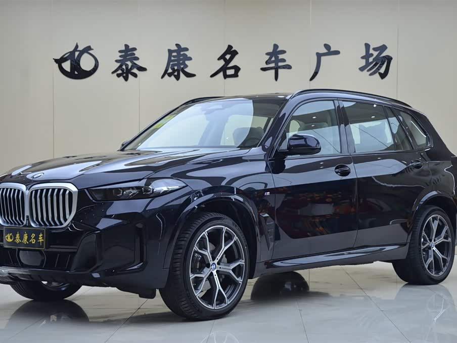 BMW X5 2025 car image 