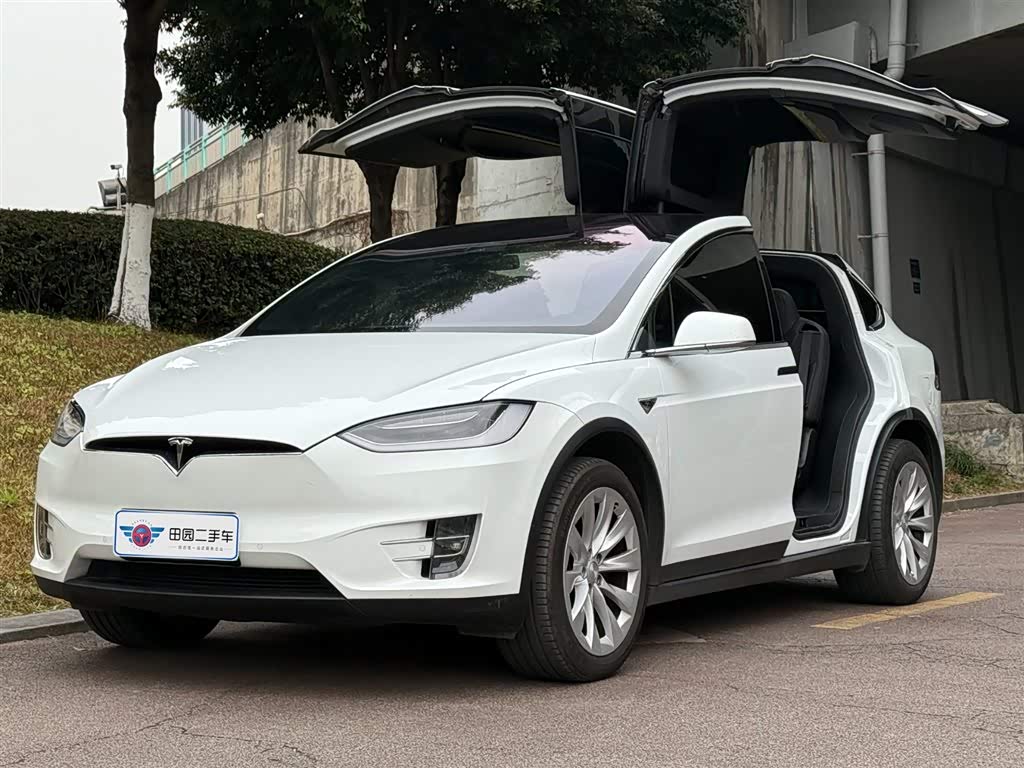 Tesla Model X 2019 car image 