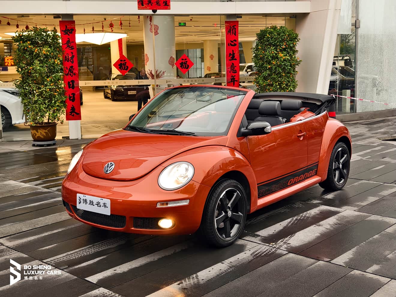 Volkswagen Beetle 2010 Volkswagen Beetle 2010 immagine di auto