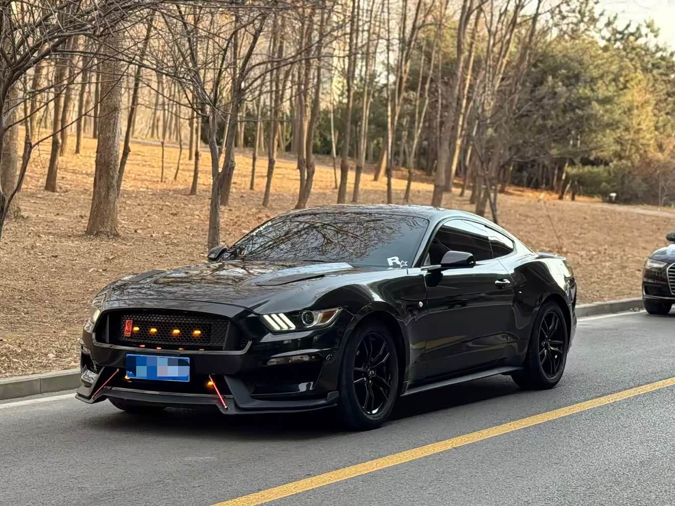 Ford Mustang 2016 car image 