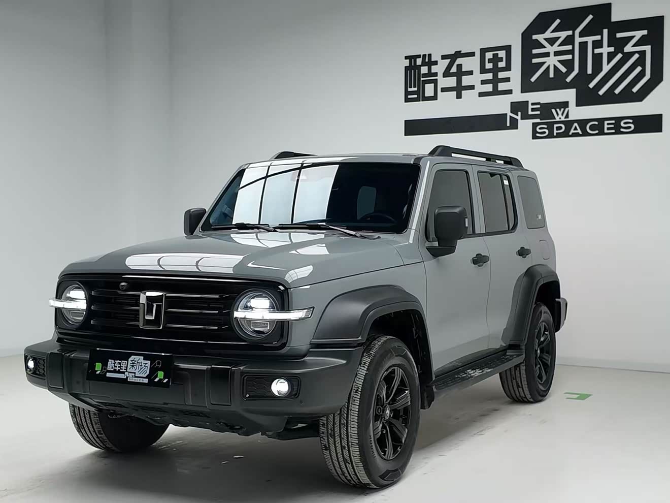 Tank 300 2025 Tank 300 2025 汽车图片