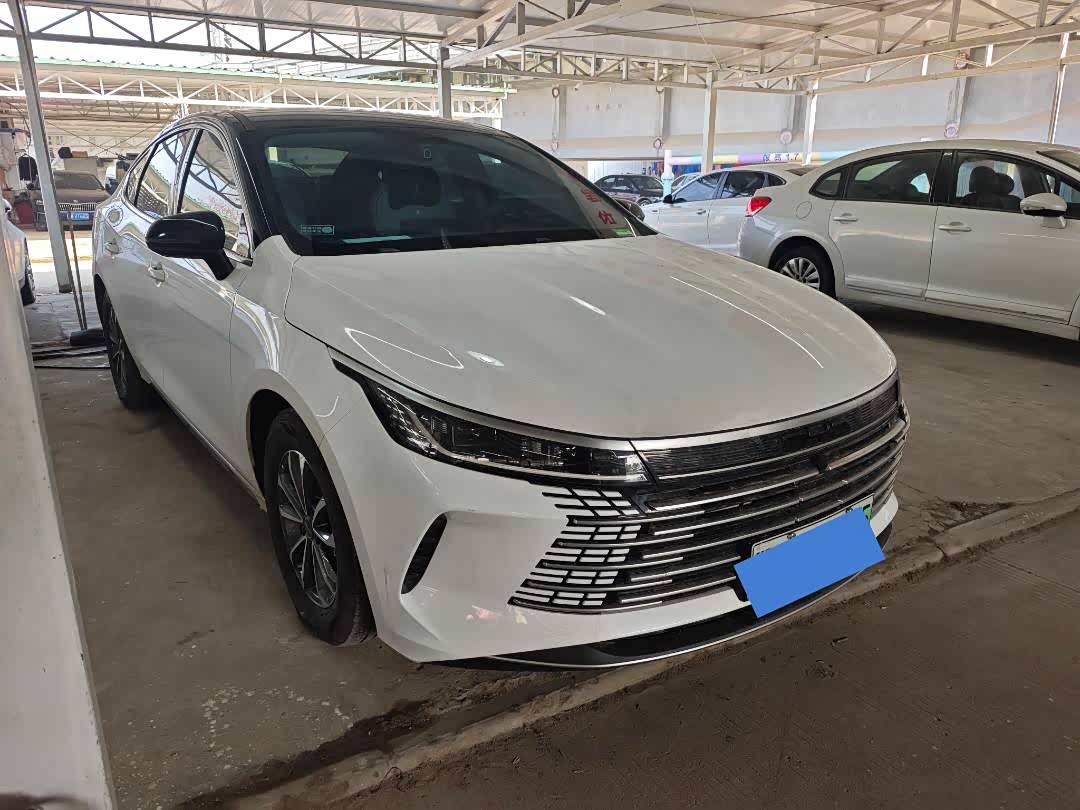 BYD Destroyer 05 2024 car image 