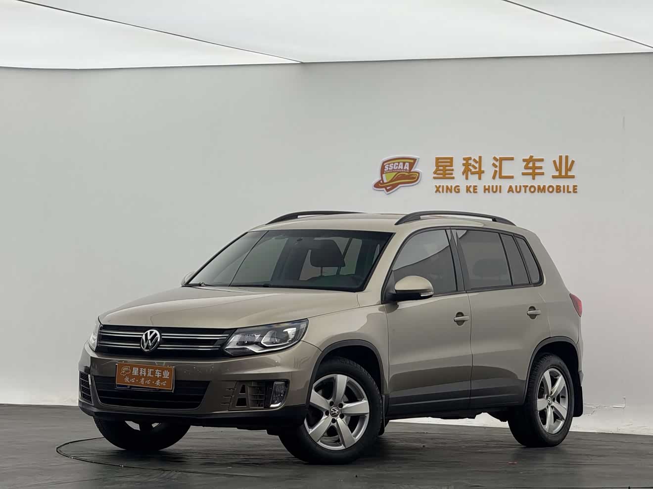 Volkswagen Tiguan 2013 Volkswagen Tiguan 2013 car image