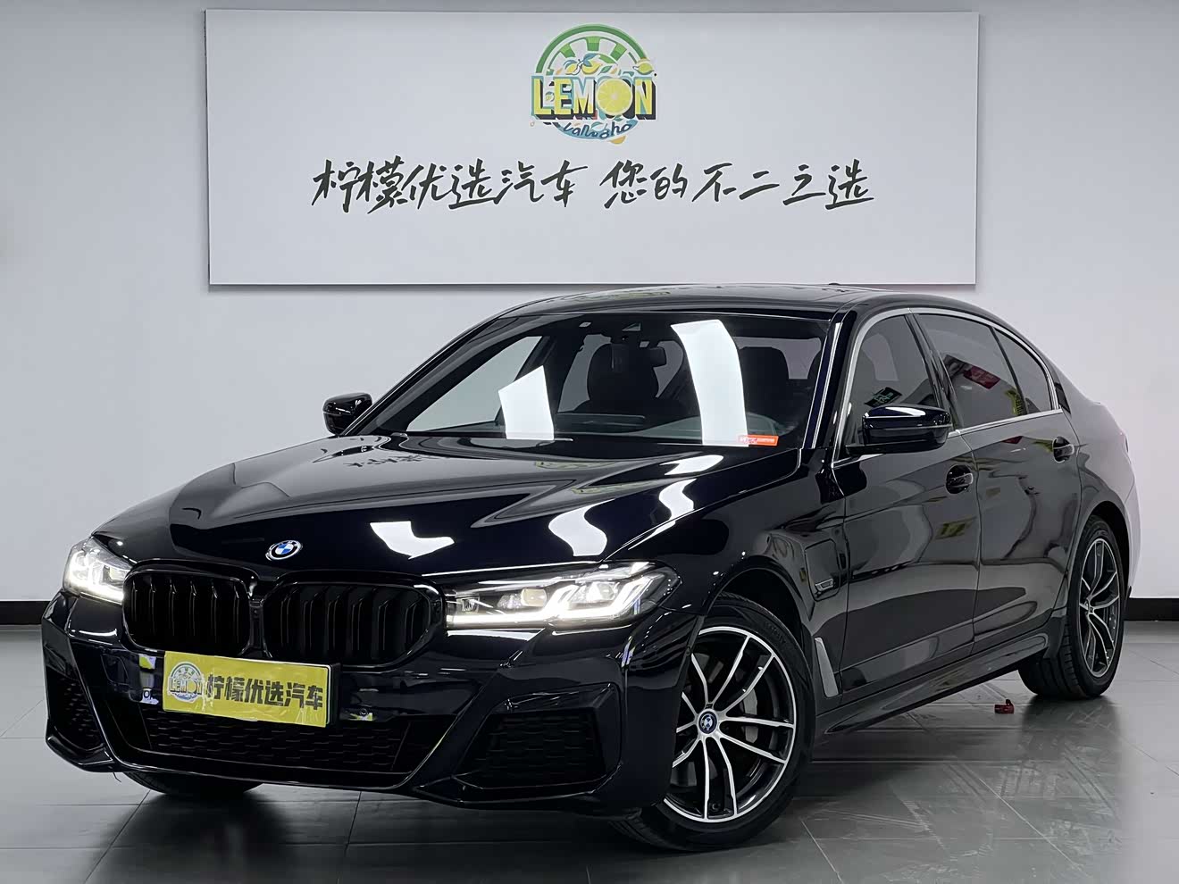 BMW 5 Series New Energy 2021 car image 