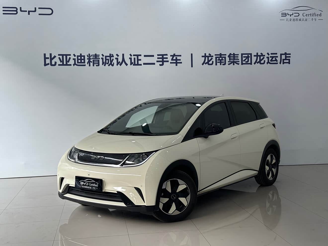 BYD Dolphin 2024 car image 