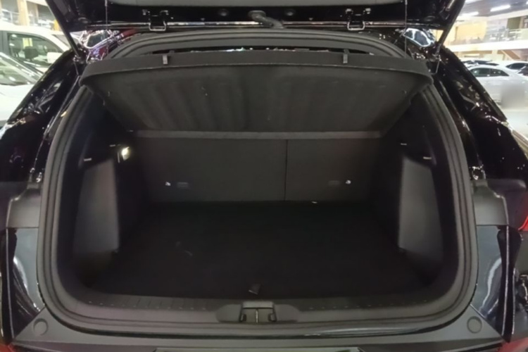 BYD Yuan Plus 2024 car image #19