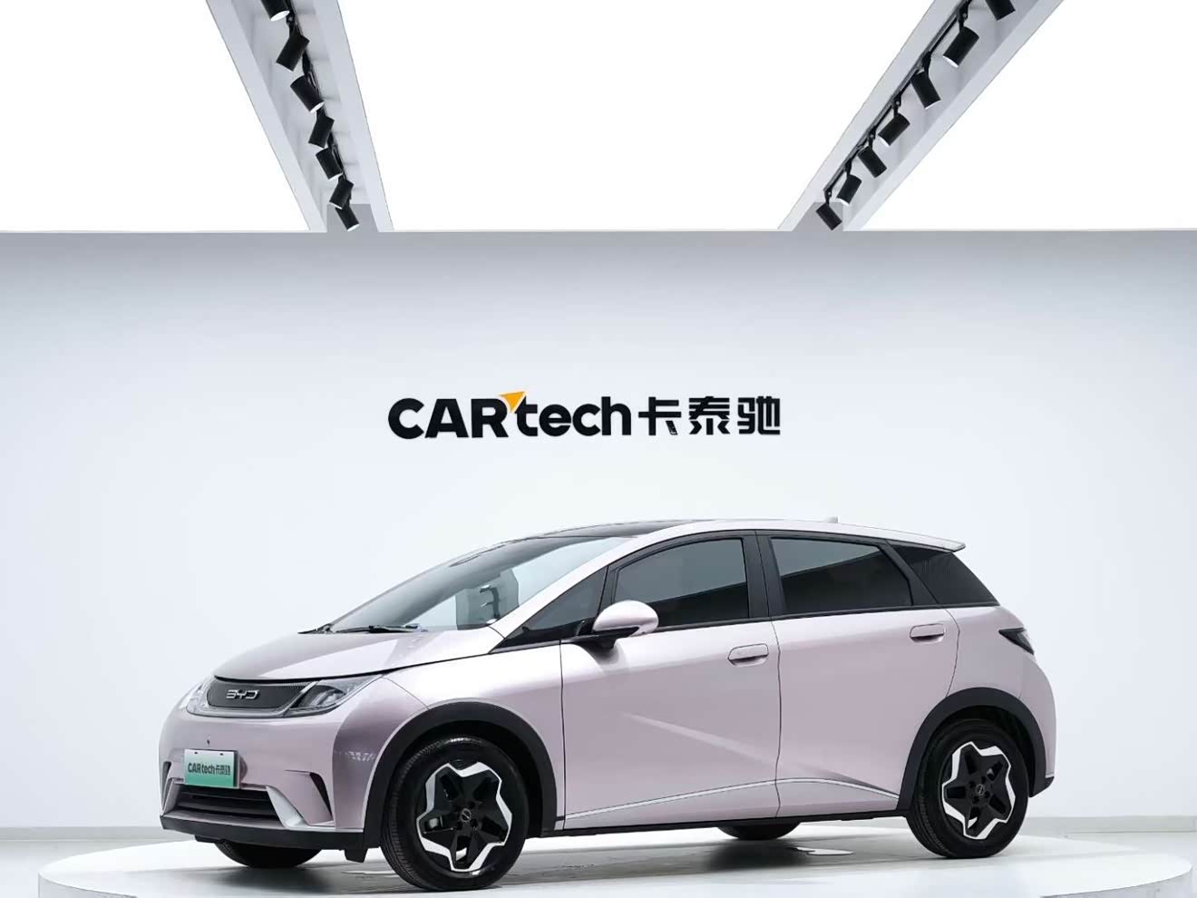 BYD Dolphin 2023 car image 