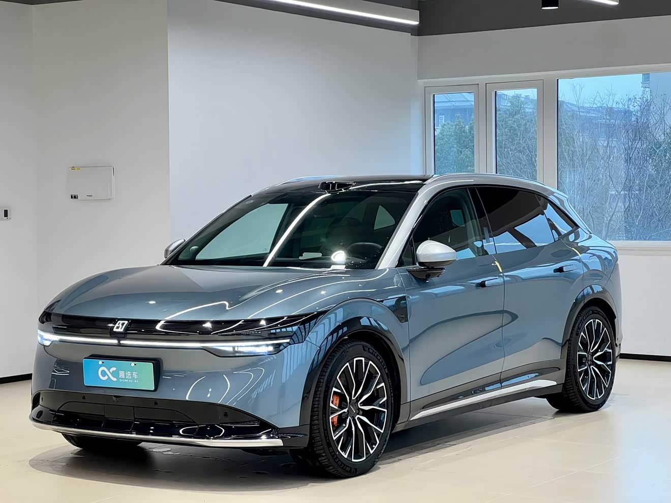 Zeekr 7X 2024 汽车图片 