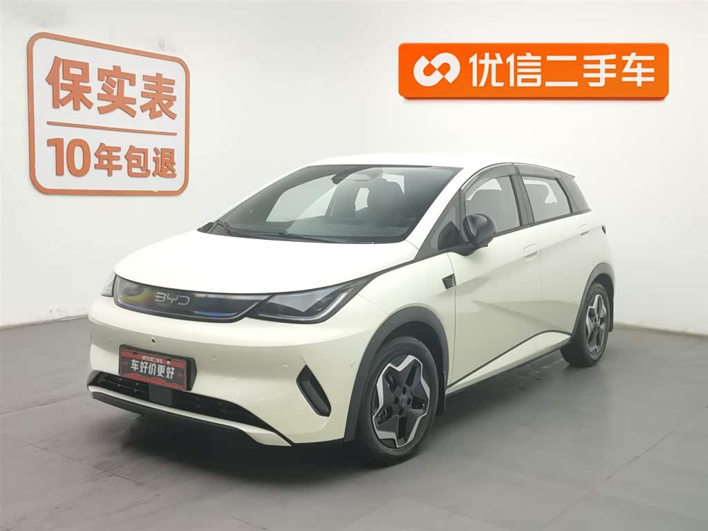 BYD Dolphin 2025 car image 