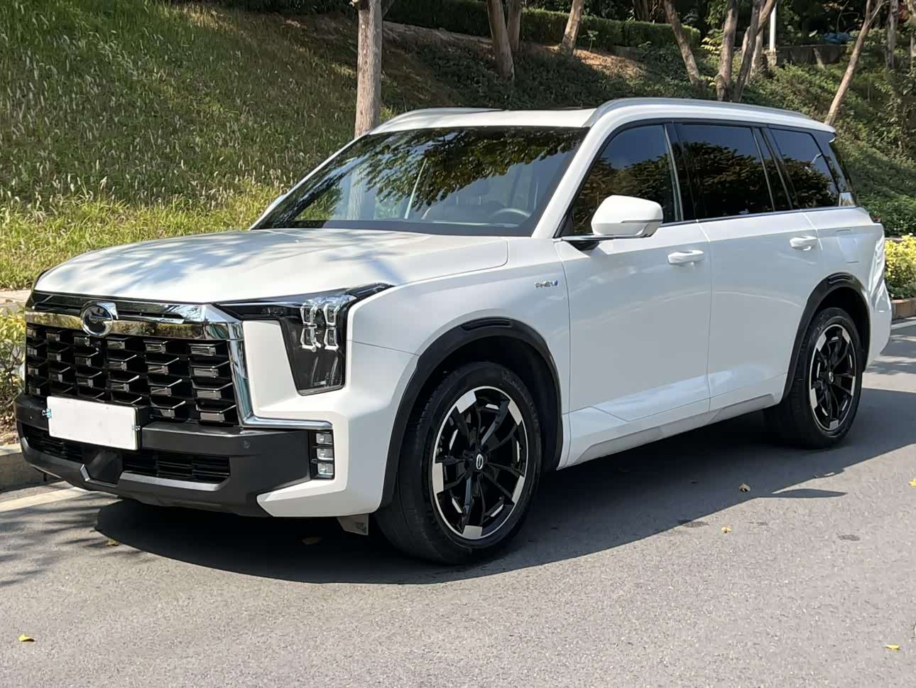 GAC Trumpchi ES9 2023 GAC Trumpchi ES9 2023 car image