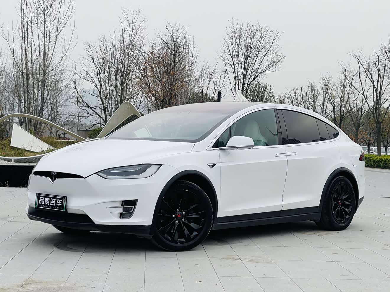 Tesla Model X 2017 汽车图片 