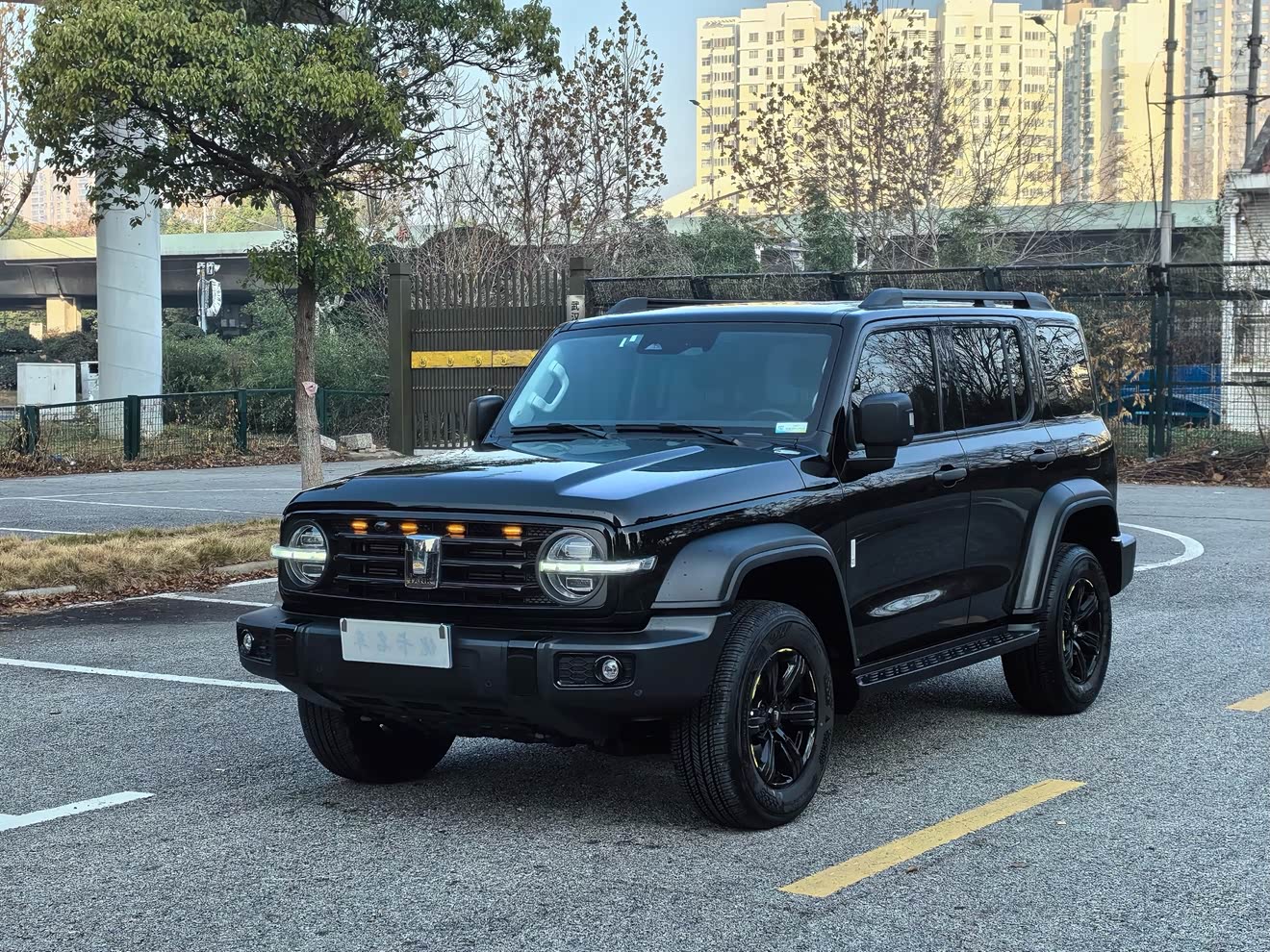 Tank 300 2023 Tank 300 2023 汽车图片