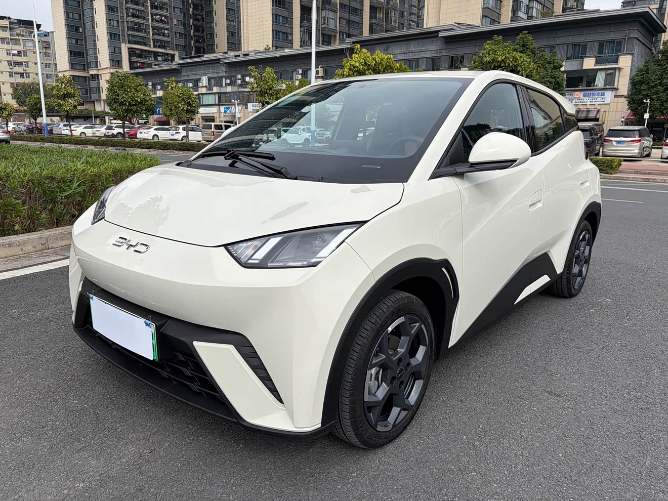 BYD Seagull 2024 car image 