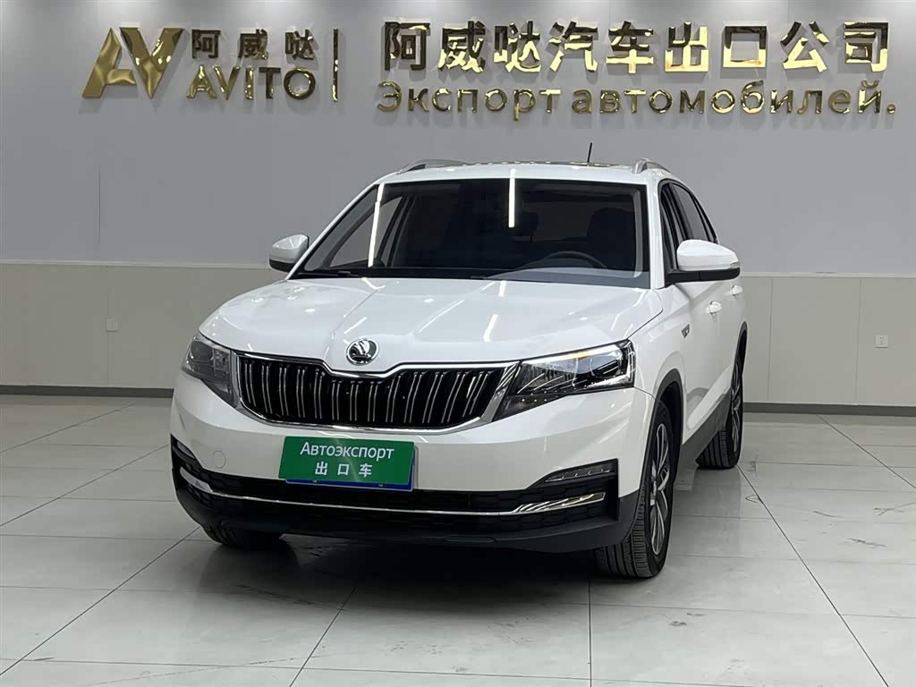 Skoda Kamiq 2022 car image 