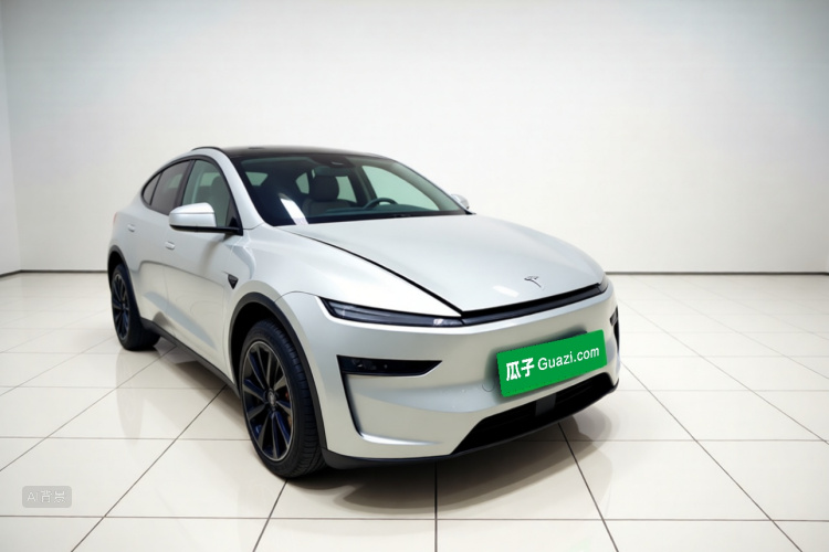 Tesla Model Y 2025 car image #4