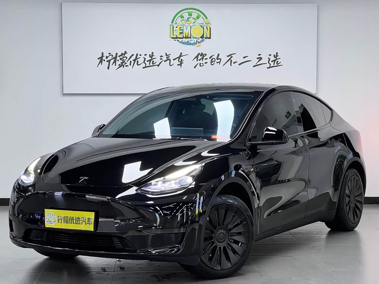 Tesla Model Y 2022 car image 