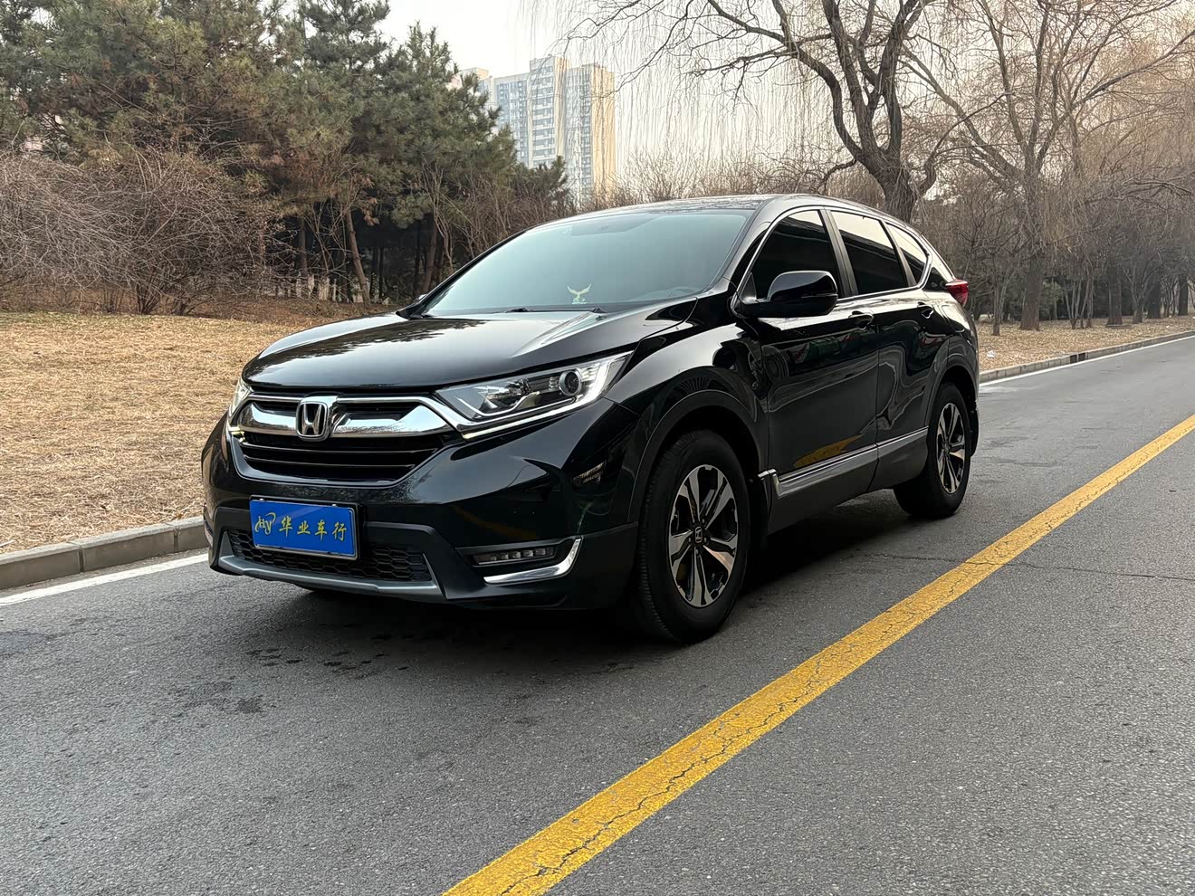Honda CR-V 2019 car image 