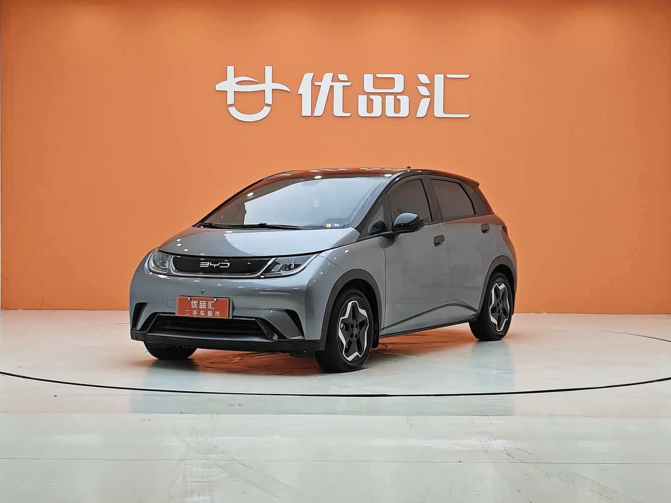 BYD Dolphin 2022 car image 