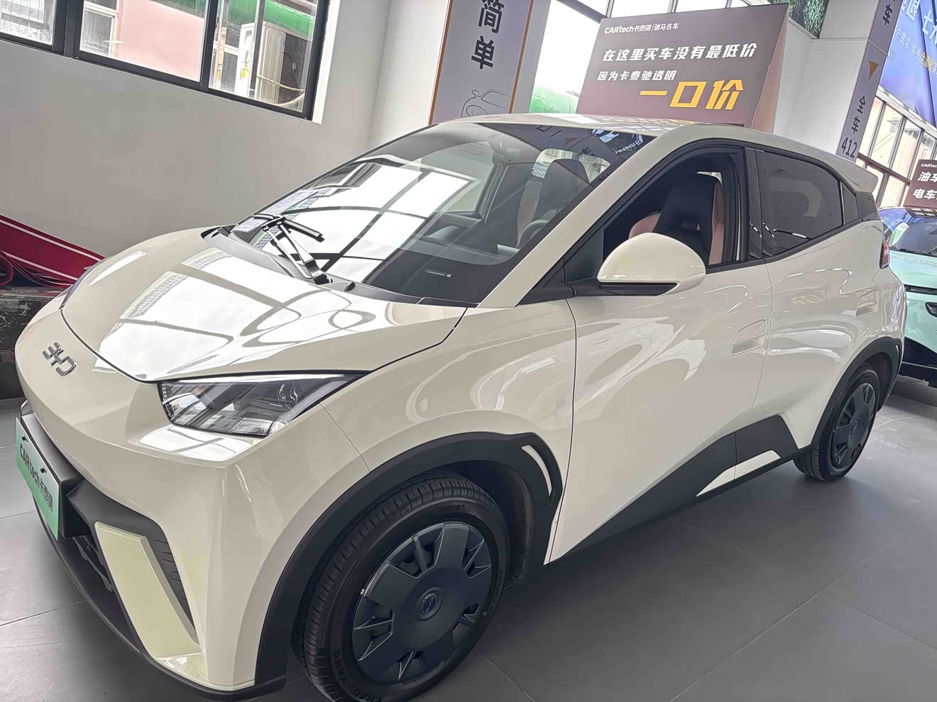 BYD Seagull 2024 car image 