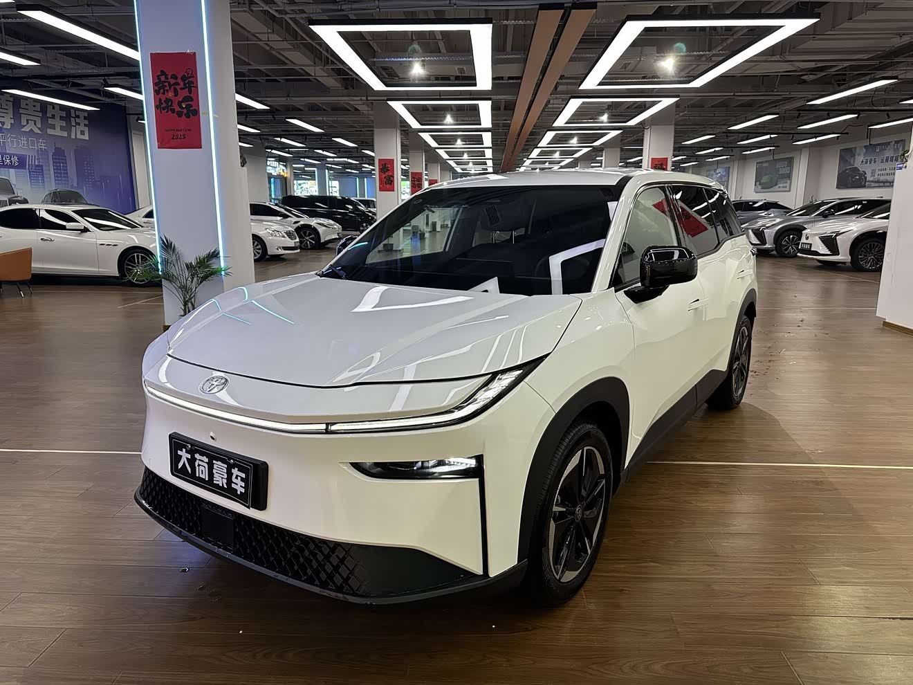 Toyota Bozhi 3X 2025 汽车图片 