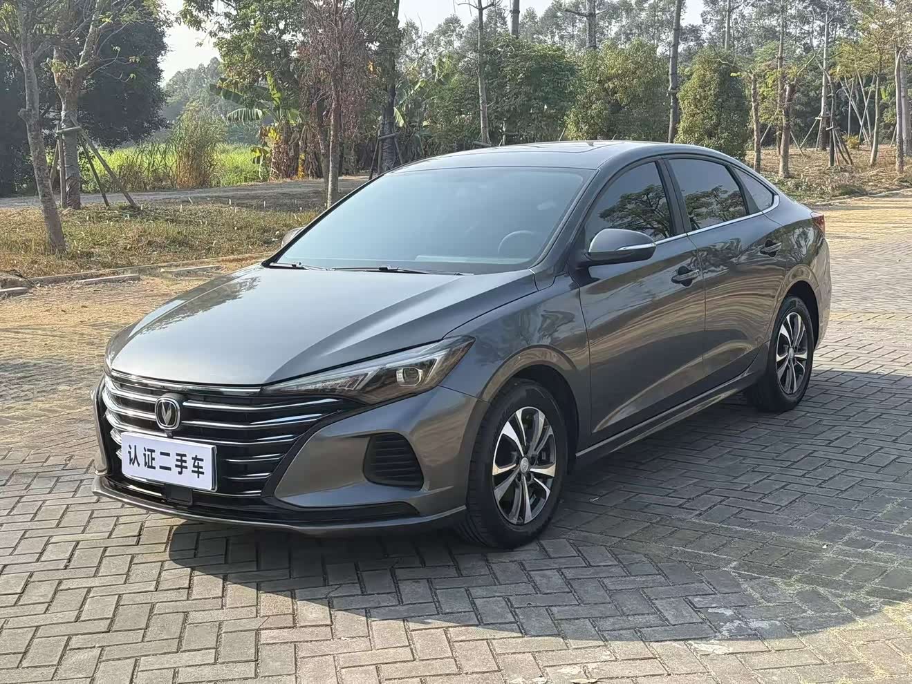 Changan Eado 2022 car image 