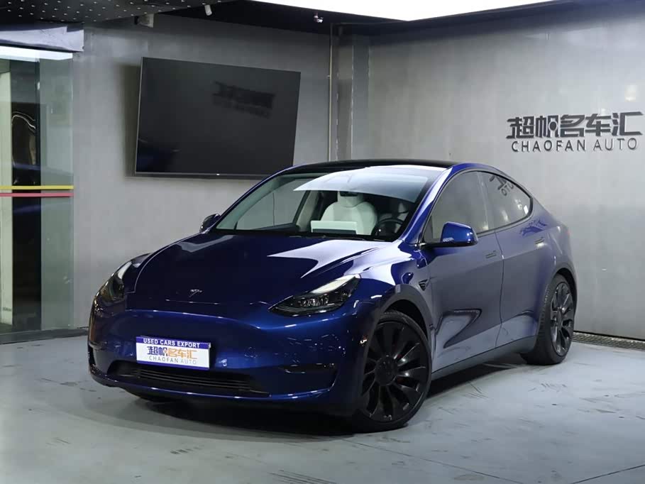 Tesla Model Y 2023 car image 