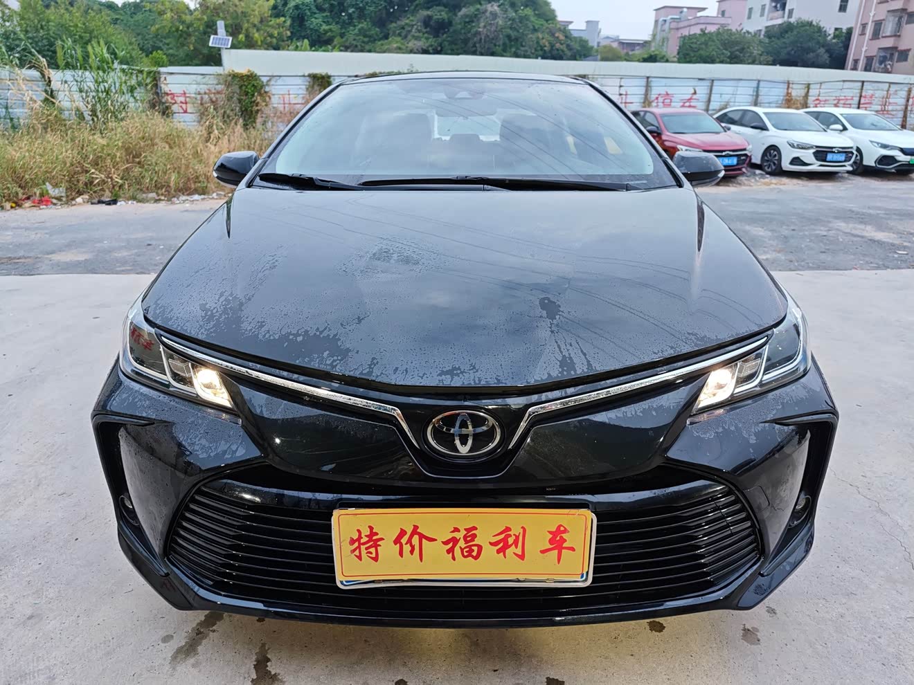 Toyota Corolla 2022 Toyota Corolla 2022 car image