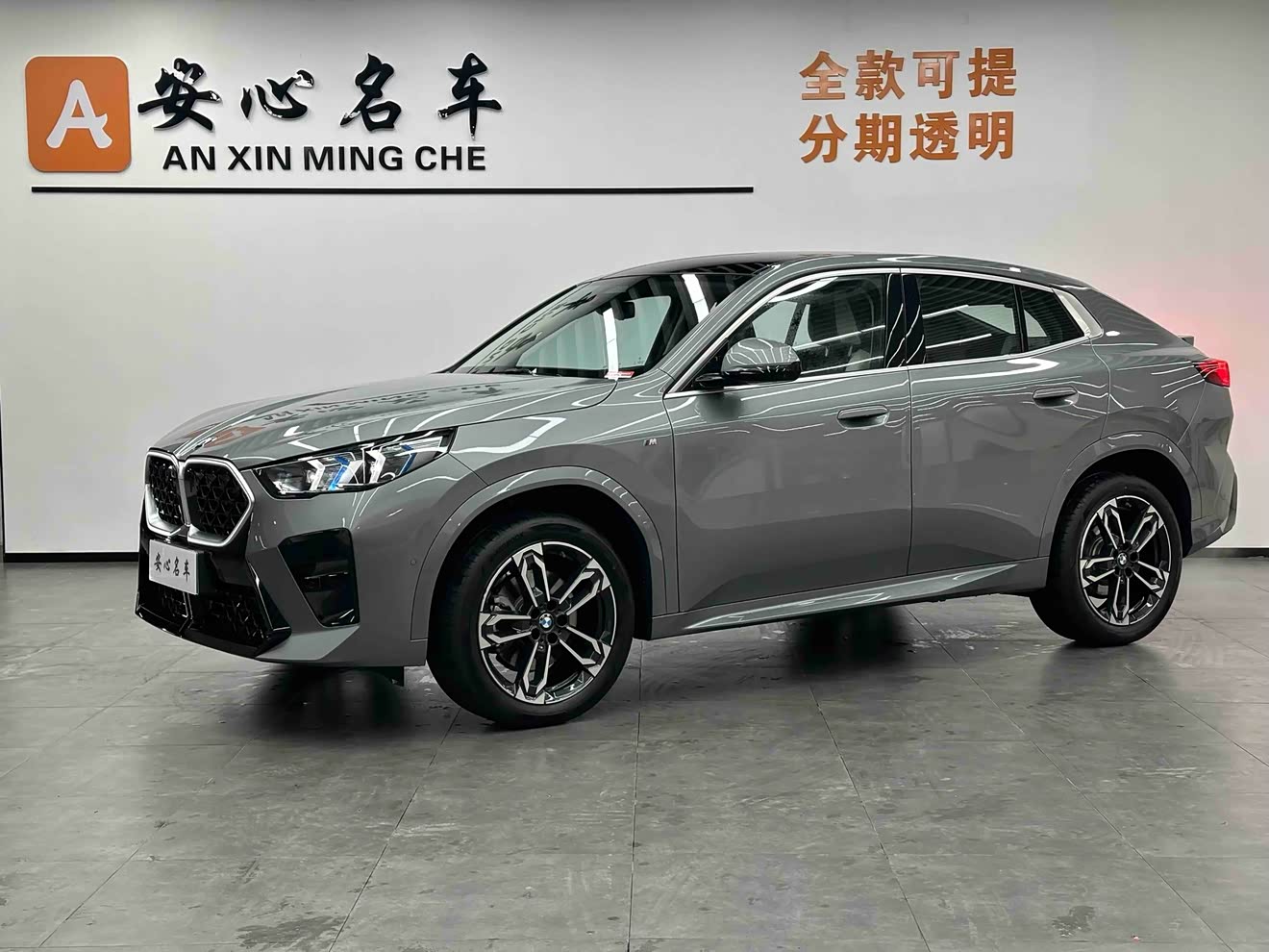 BMW X2 (Imported) 2024 car image 