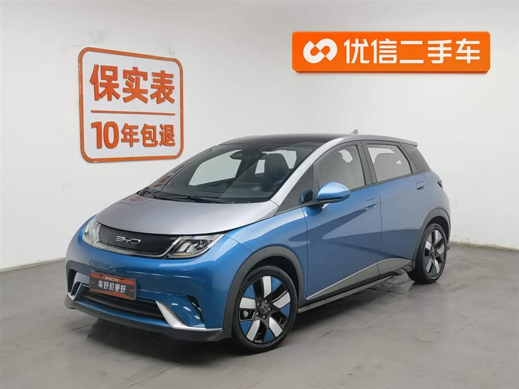 BYD Dolphin 2022 car image 