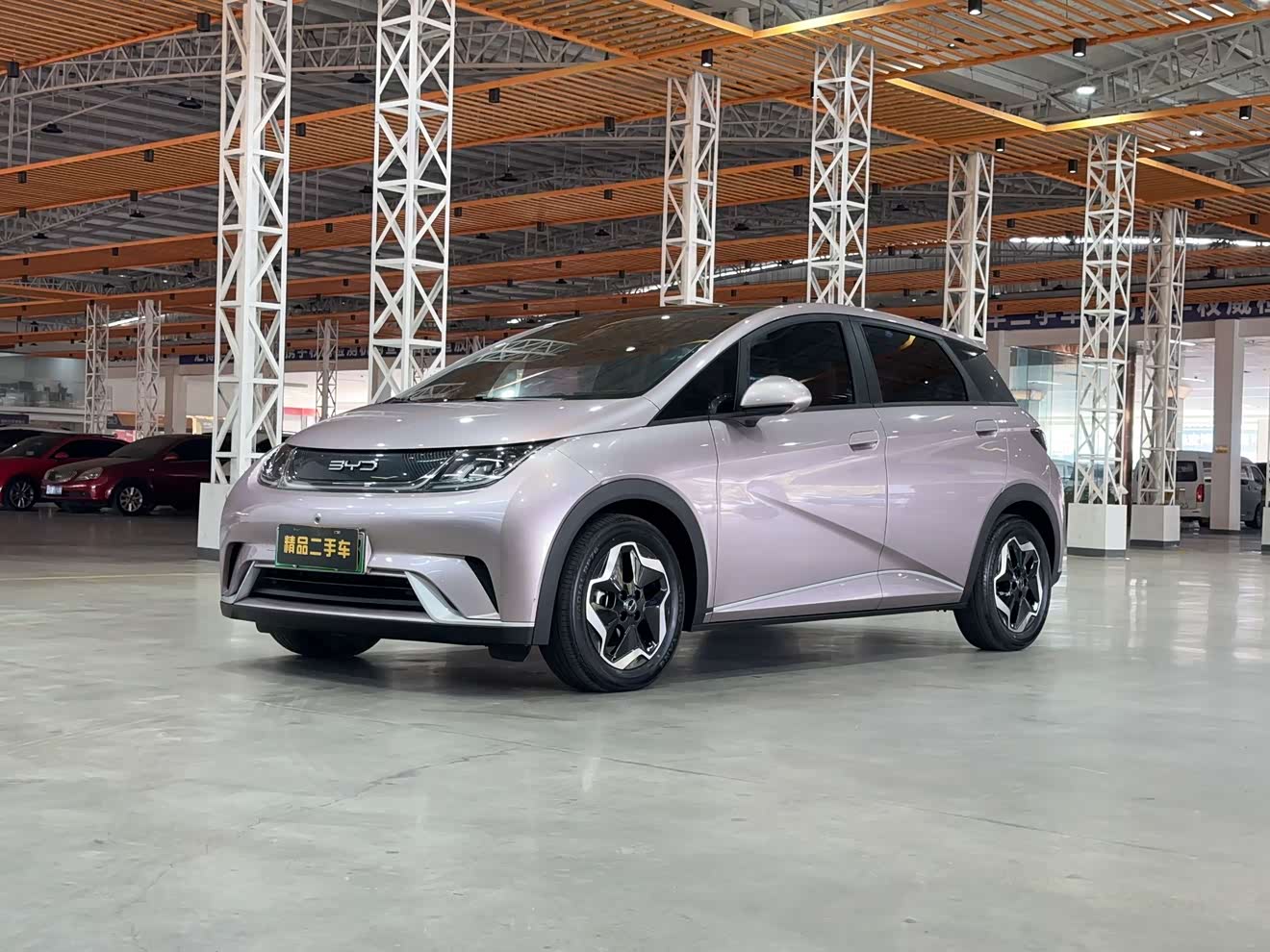 BYD Dolphin 2022 BYD Dolphin 2022 immagine di auto