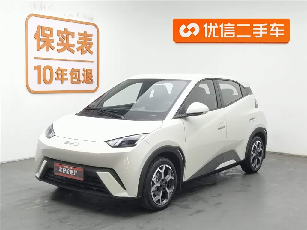 BYD Seagull 2024 car image 