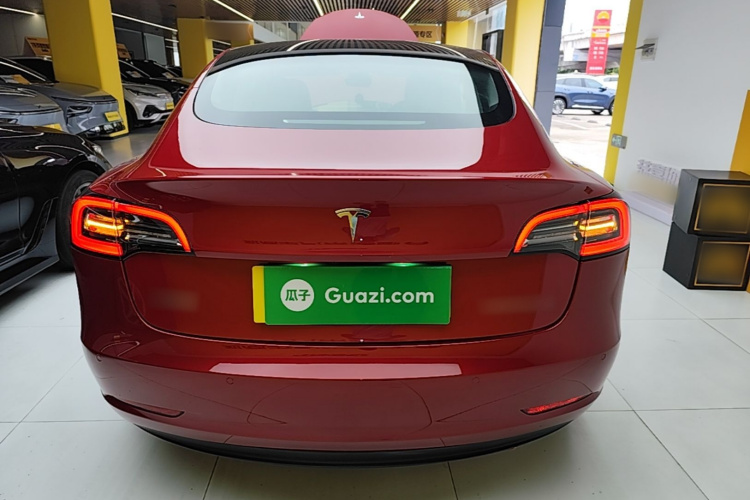 Tesla Model 3 2022 car image #4