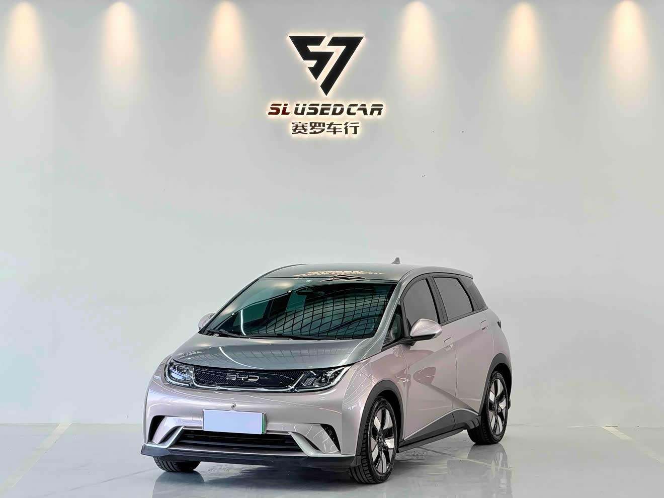 BYD Dolphin 2022 car image 