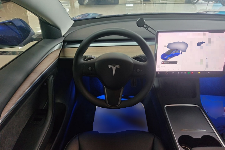 Tesla Model 3 2021 #15 Tesla Model 3 2021 car image #15