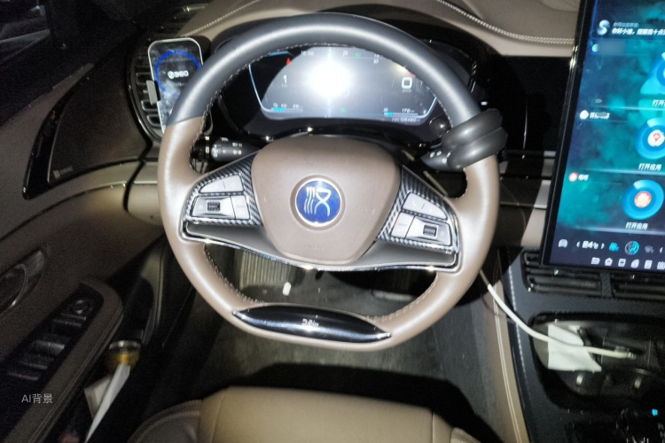 BYD Han 2020 immagine di auto #12