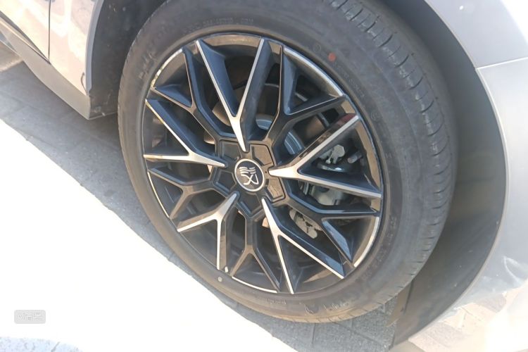 BYD Han 2024 car image #9